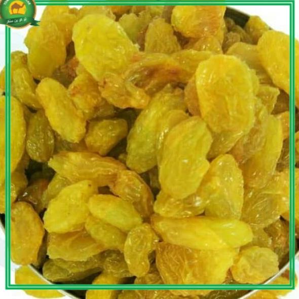 

Eksklusif Kismis Jumbo Anggur Manis Oleh Oleh Haji / Umroh /Kismis Kuning Jumbo Best Quality Boleh Diadu