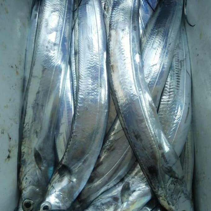 

Ikan Layur Segar - 1 Kg