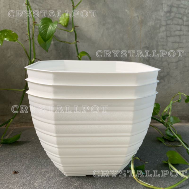 pot bunga tanaman segi delapan putih motif tawon 27cm - TIP 27