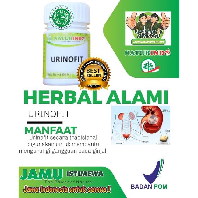 Jual Obat Ginjal Obat Herbal Ginjal Obat Ginjal Herbal Obat Batu Ginjal ...