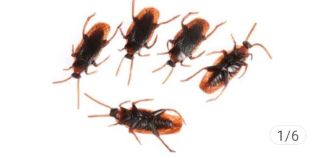 Simulasi Kecoa Palsu Bahan Karet