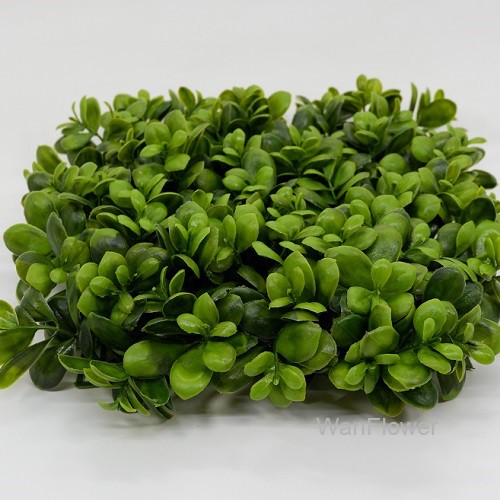 WANFLOWER Rumput 25x25 * WATER HYCINT