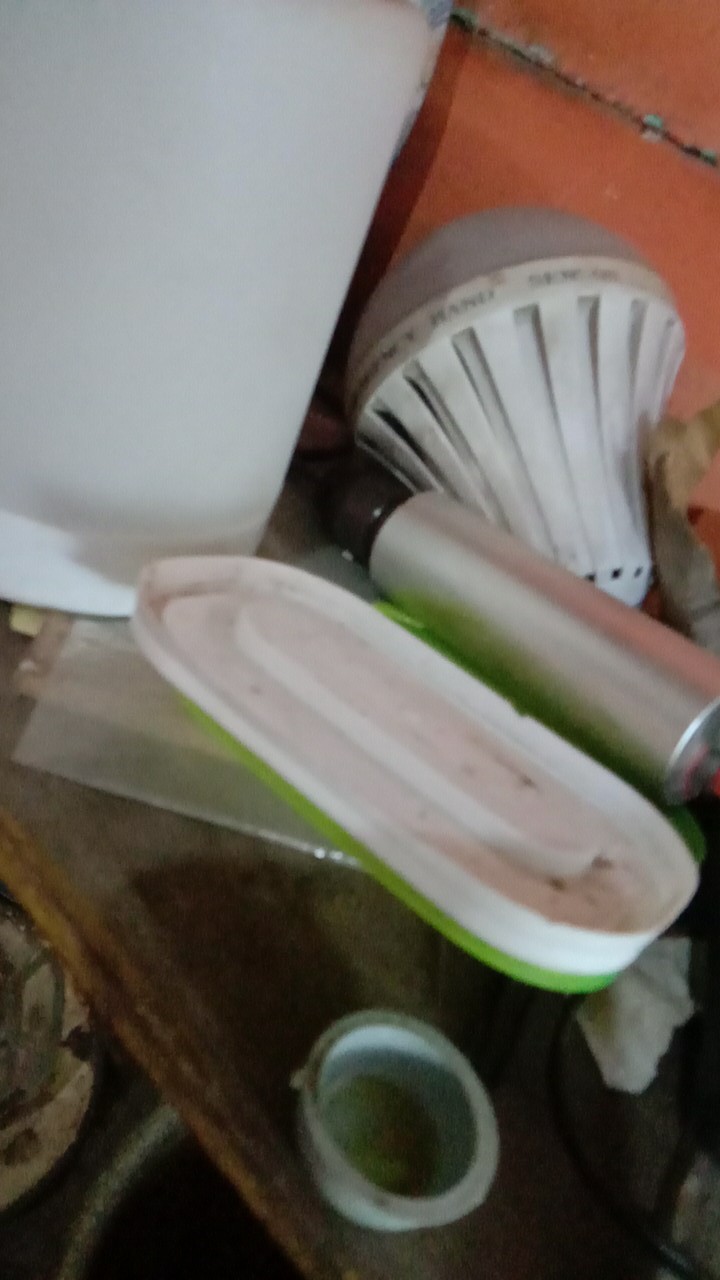 Double Sweet Set + Free (rantang) Tupwr