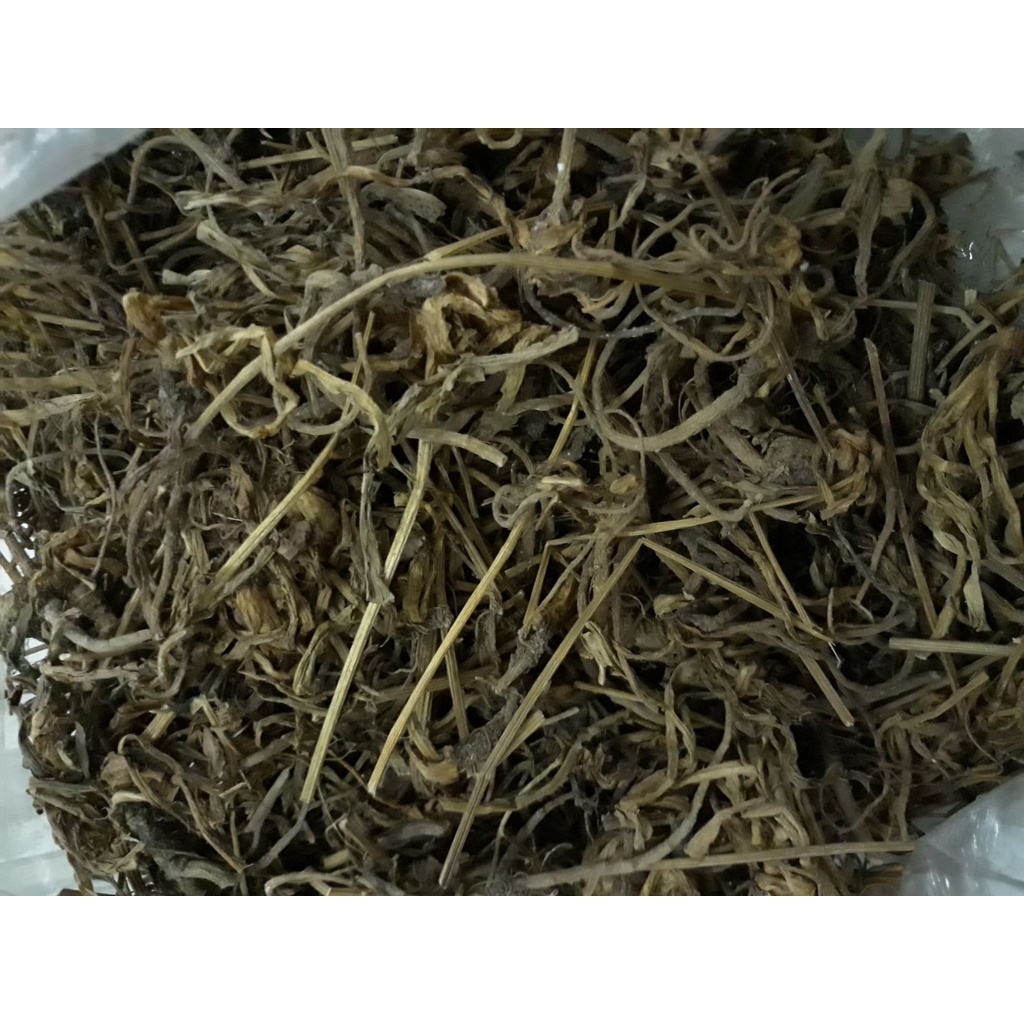

PURWOCENG KERING ORIGINAL 100GR