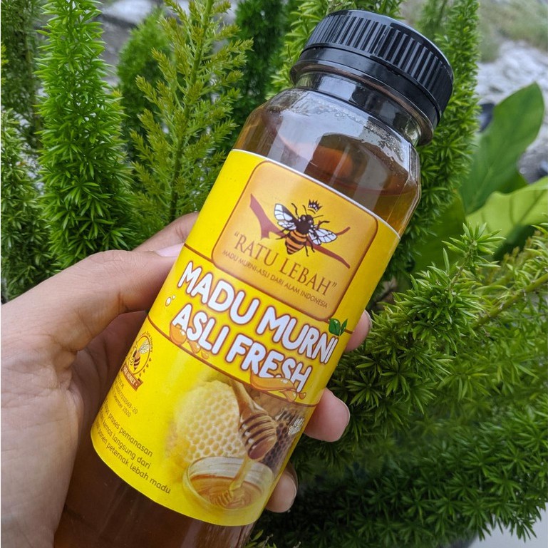 

Madu Murni Asli Fresh 250 ml Merk Ratu Lebah