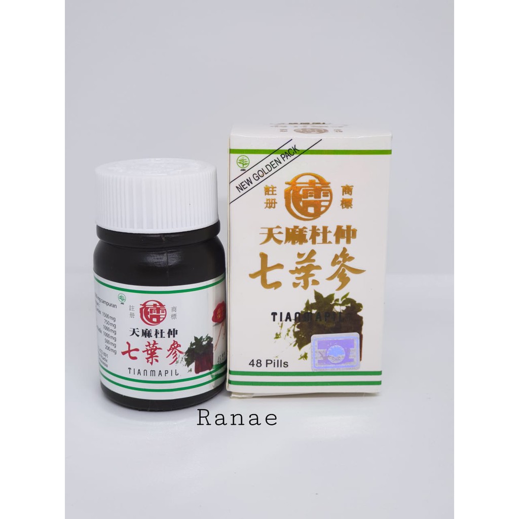 PT SINAR HERBA RADIX Tianmapil seven leave ginseng