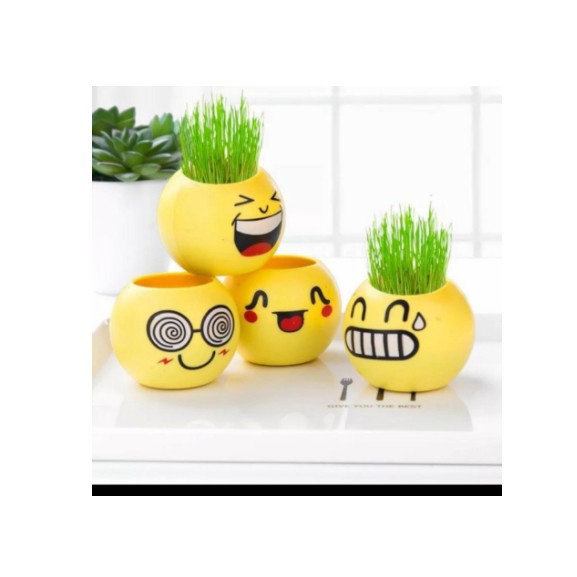 Sale Pot Hidroponik Mini Vas Tanaman Hias Gambar Emoji Emoticon Imut SH3252