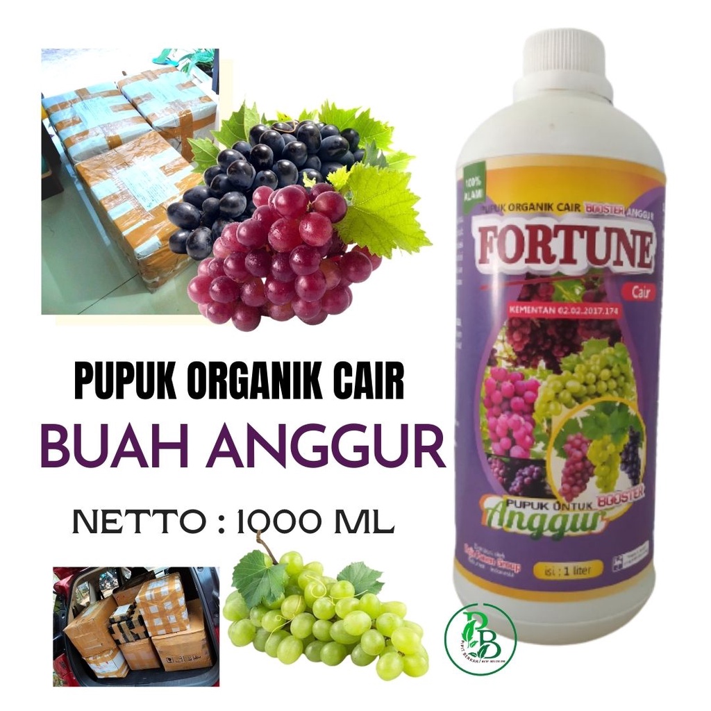 Pupuk Organik Cair anggur saat berbunga, Booster Buah anggur hitam panjang cepat berbuah