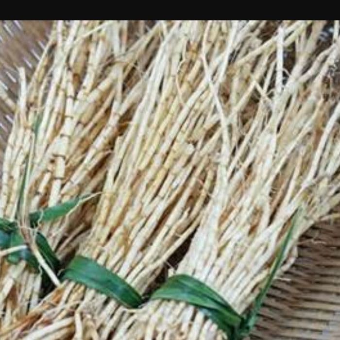 FRESH Akar Alang, Akar Alangalang Segar, Akar Alang2, Akar Alangalang Buat Obat, Akar Alang2 segar