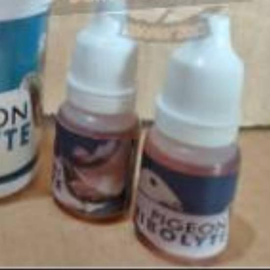 Vitamin pengganti energi rebolyte ribolit rebolite vetafarm khusus burung merpati dara lomba .