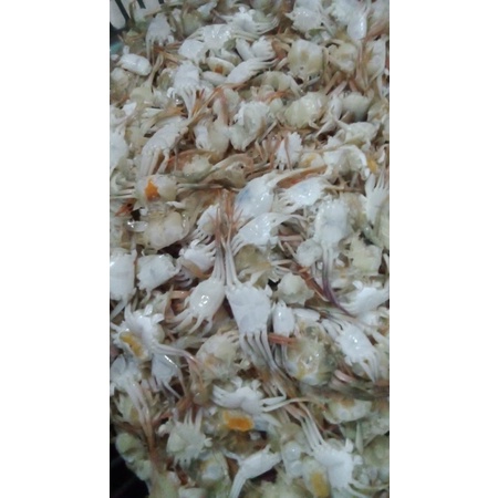 

BABY CRAB MENTAH / KEPITING MINI / FROZEN KUALITAS EKSPORT PER 500GRAM