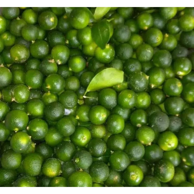 

Jeruk Sonkit / Jeruk lemon cui / 250 gram