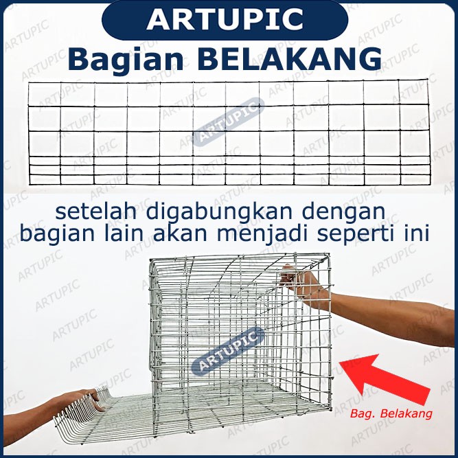 BELAKANG SAJA untuk Kandang Ayam Petelur ARTUPIC Baterai Kandang