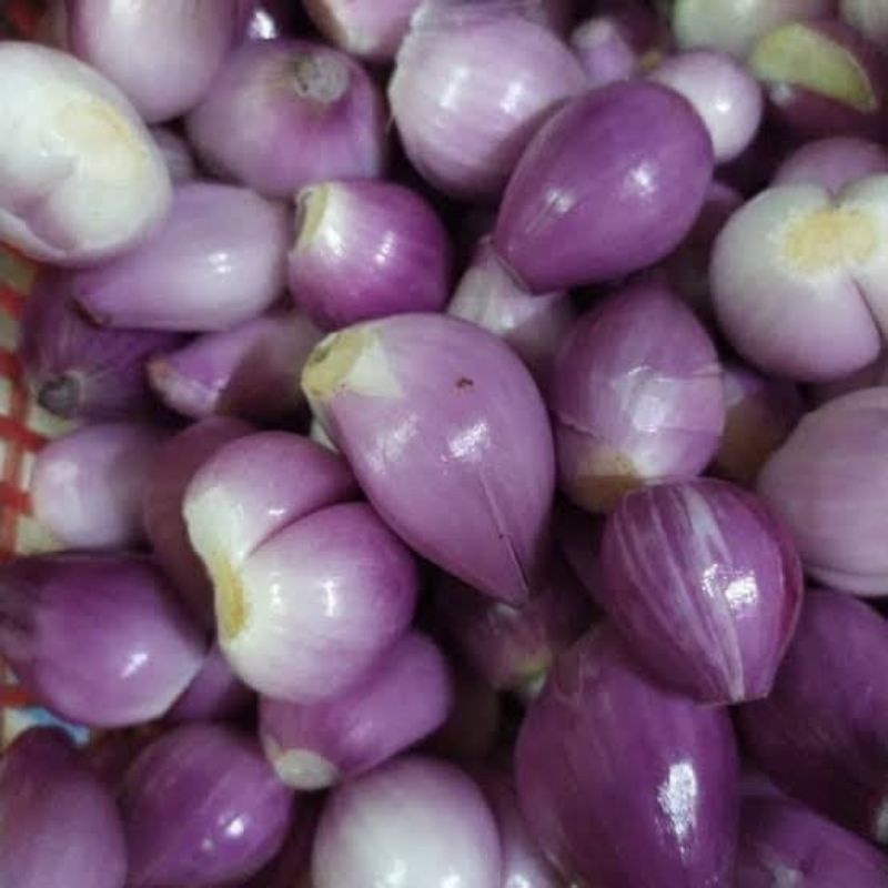 

bawang merah kupas 500gr