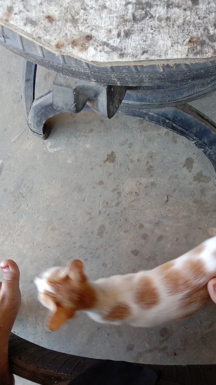 Maura Couple - Sania Ruffle Batik Couple Ori Ndoro Jowi Dnt Garansi Termurah Seharga Rp62.000 -