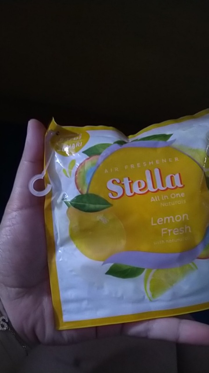 Stella All In One Pengharum Ruangan 42 Gr