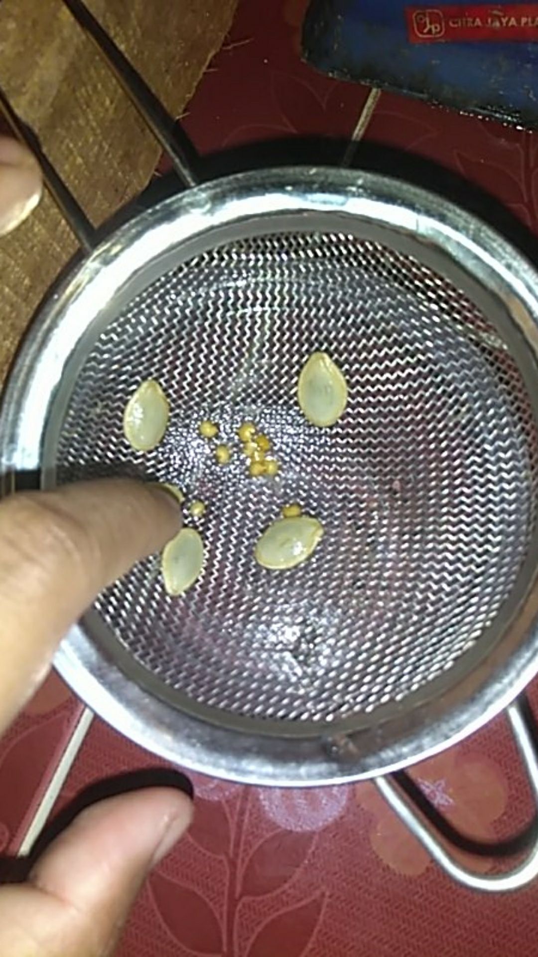 25 Benih Biji Terong Unggul Liberto