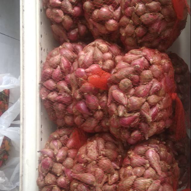 

Bawang merah