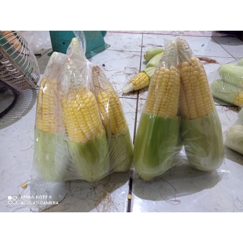 

Jagung Manis 500gr
