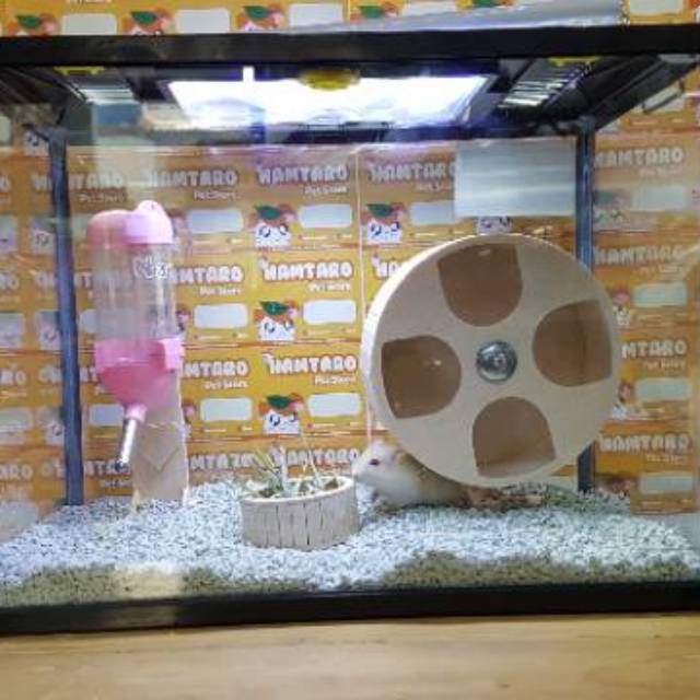 Terarium Aquarium kandang Hamster