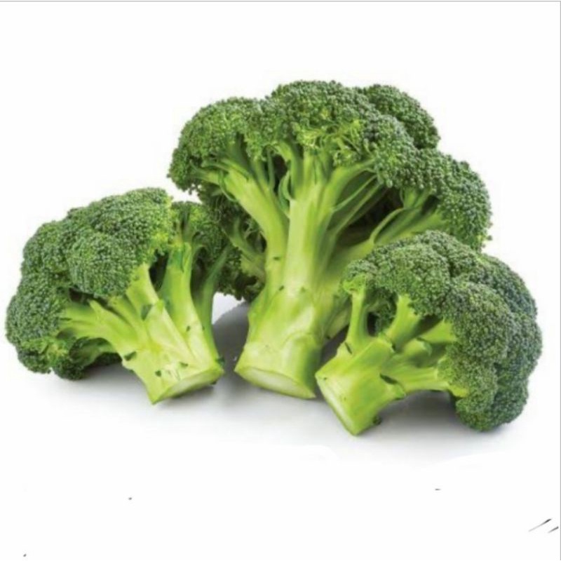 

SAYUR BROKOLI HIJAU SEGAR