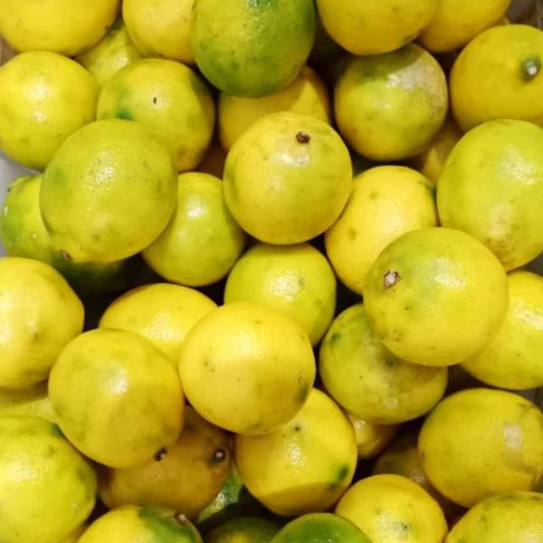 

LEMON LOKAL PER 1KG
