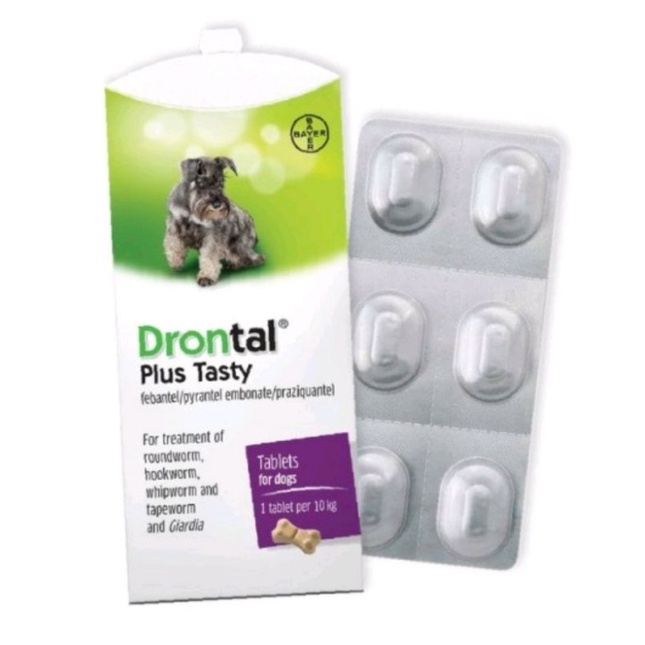 Drontal Plus Tasty for Dog 1Tablet Obat Cacing Anjing Drontal Dog