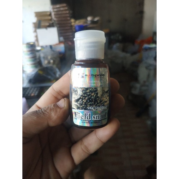 Essen sabpolo Field Snail/Keong sawah/Tutut original