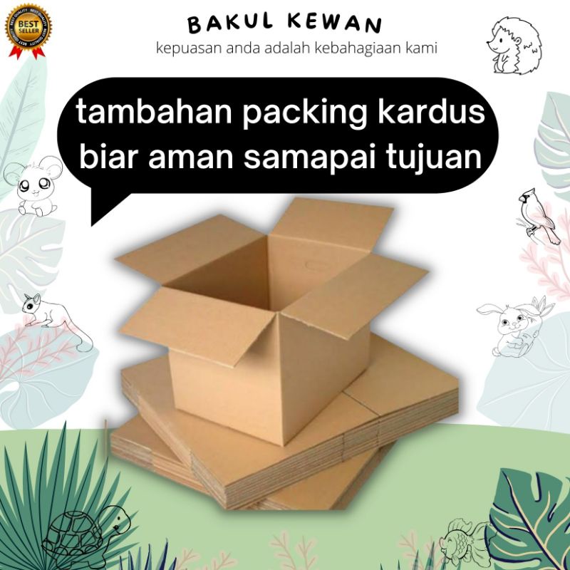 

tambahan pecking kardus