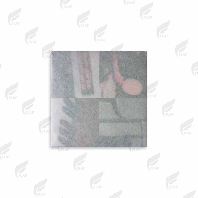 CD Efek Rumah Kaca - Jalan Enam Tiga