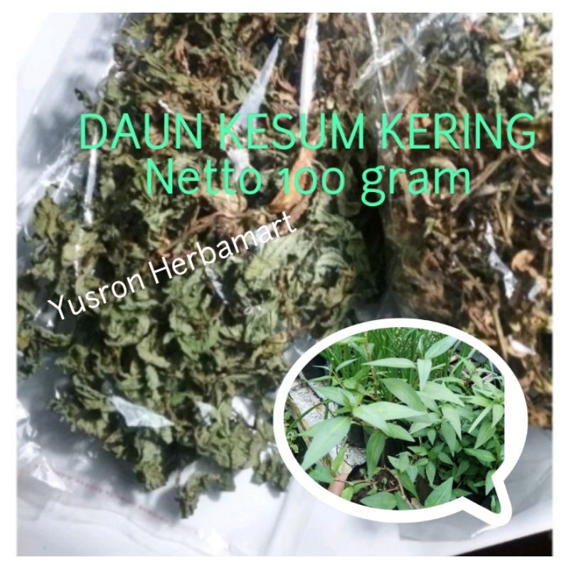 DAUN KESUM KERING 100 GRAM DAUN LAKSA MINT VIETNAM BUMBU MASAK