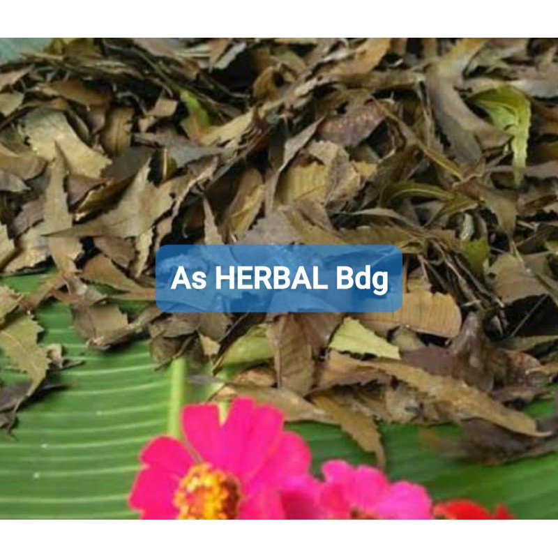 

Daun mimba kering paket 250 gram-az