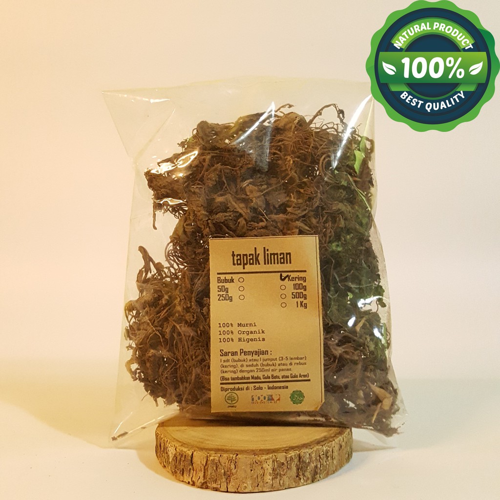 

TAPAK LIMAN KERING 100 GRAM - Elephantopus Scaber - MURNI - JSR