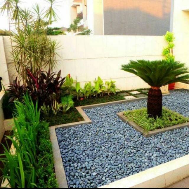 Batu koral hitam/ hiasan taman