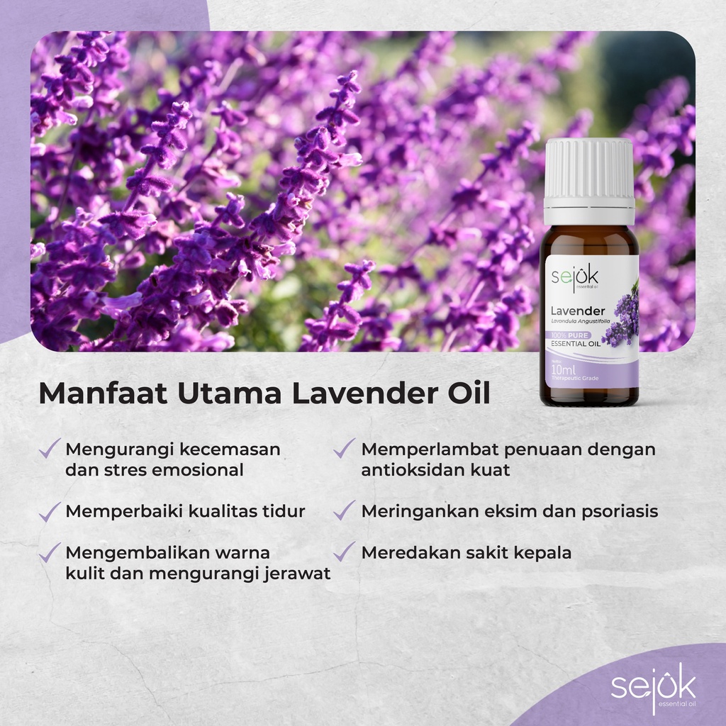 Sejuk Lavender Essential Oil / Minyak Aromaterapi Pure 100% - 10 ml