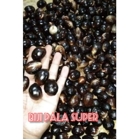 

BIJI PALA SUPER