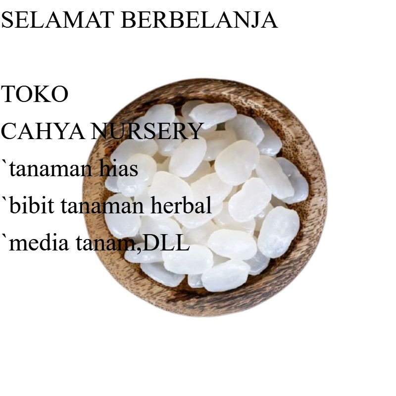 

Ready Buah Kolangkaling muda 1kg segar organik kolang kaling caruluk aslii dan tidak asam