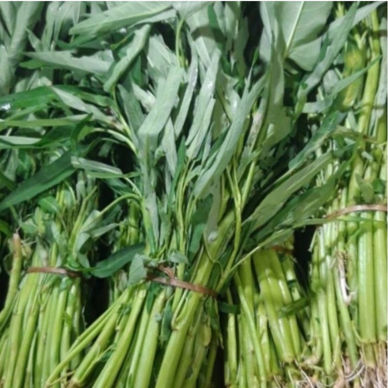 

Sayur Kangkung 1 Ikat