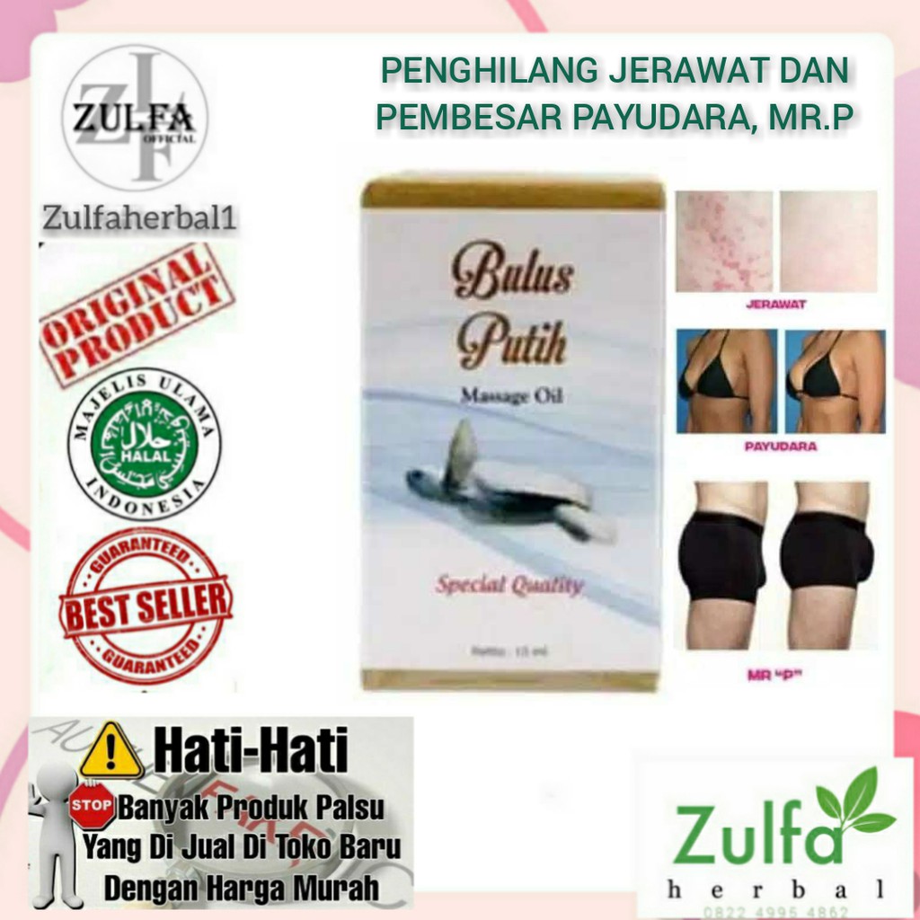 Minyak Bulus Putih original - Obat Pembesar payudara Mr.P BPOM