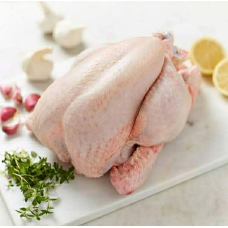 Ayam Karkas Broiler potong utuh 0.5 - 0.6kg