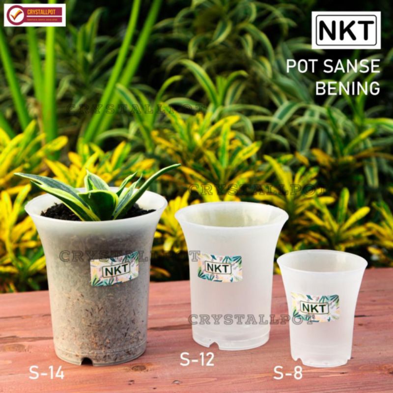 pot bunga tanaman nkt sanse 8CM BENING TRANSPARAN - NKT SANSE 8 BENING