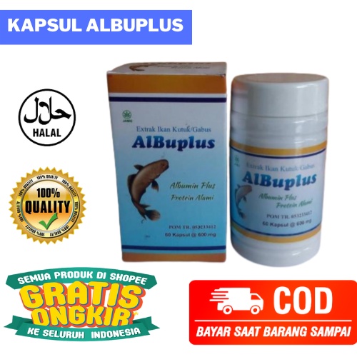 Kapsul Ekstrak Ikan Kutuk Original. Ekstrak ikan gabus Albuplus