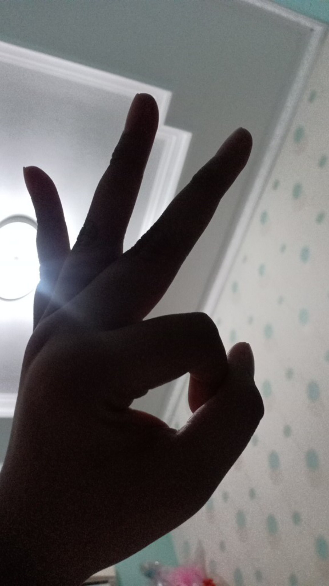 Botol Herbalife 1 Liter Dan 1.5 Liter #singapur Botol #herbalife#shake#aloe