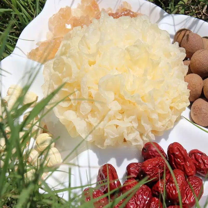 

TERMURAH...!!Jamur putih salju / snow white Fungus/ Yin Er -+ 30gr