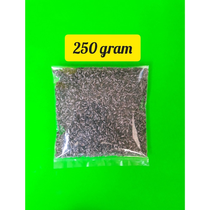

KETAN-BERAS- KETAN HITAM KUPAS KULIT 250 GRAM -BERAS-KETAN.