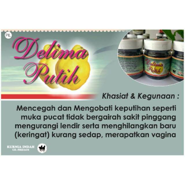 

Delima putri