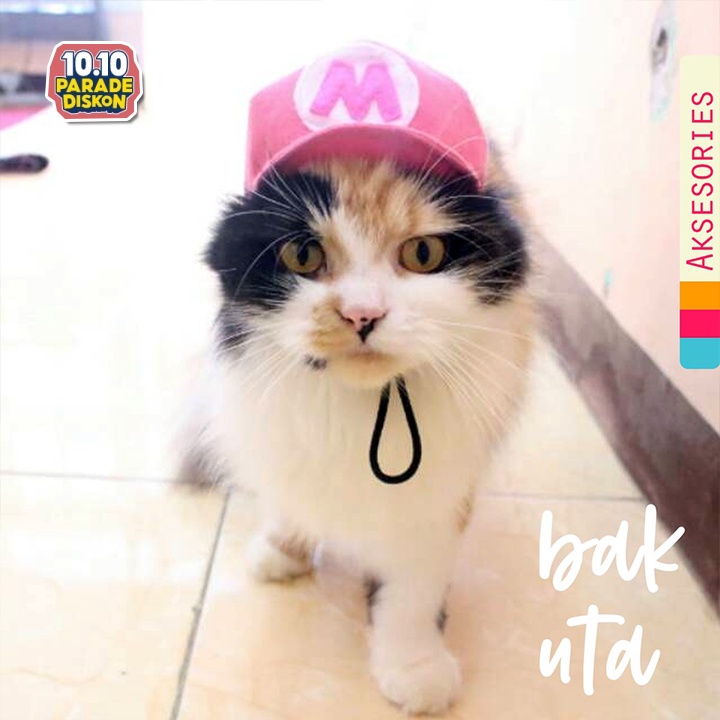 Topi mario lucu, inisial bisa dirubah / pilih warna dicatatan pembeli / baju kucing lucu