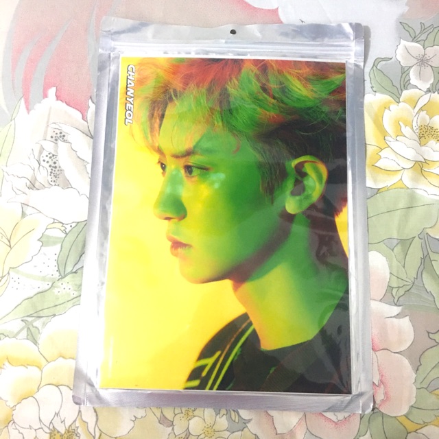 OFFICIAL CHANYEOL SM SUM EXO POWER A4 Photo Set         Photocard postcard obsession baekhyun sehun