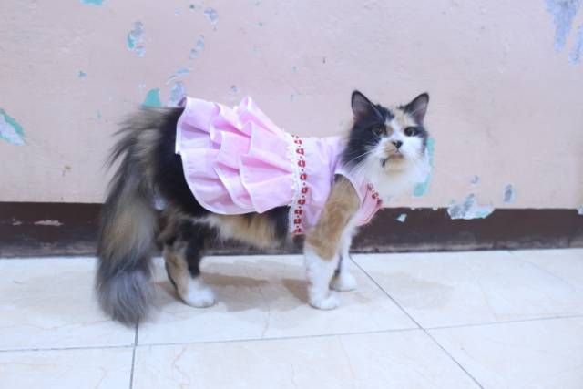 Dress princess pink new 2020 lucu untuk kucing dan anjing / baju kucing murah size S M L XL