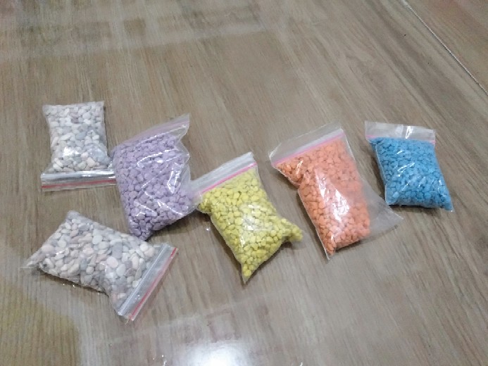 Batu Hias Kaktus Sukulen Warna Warni Murah Ecer Grosir